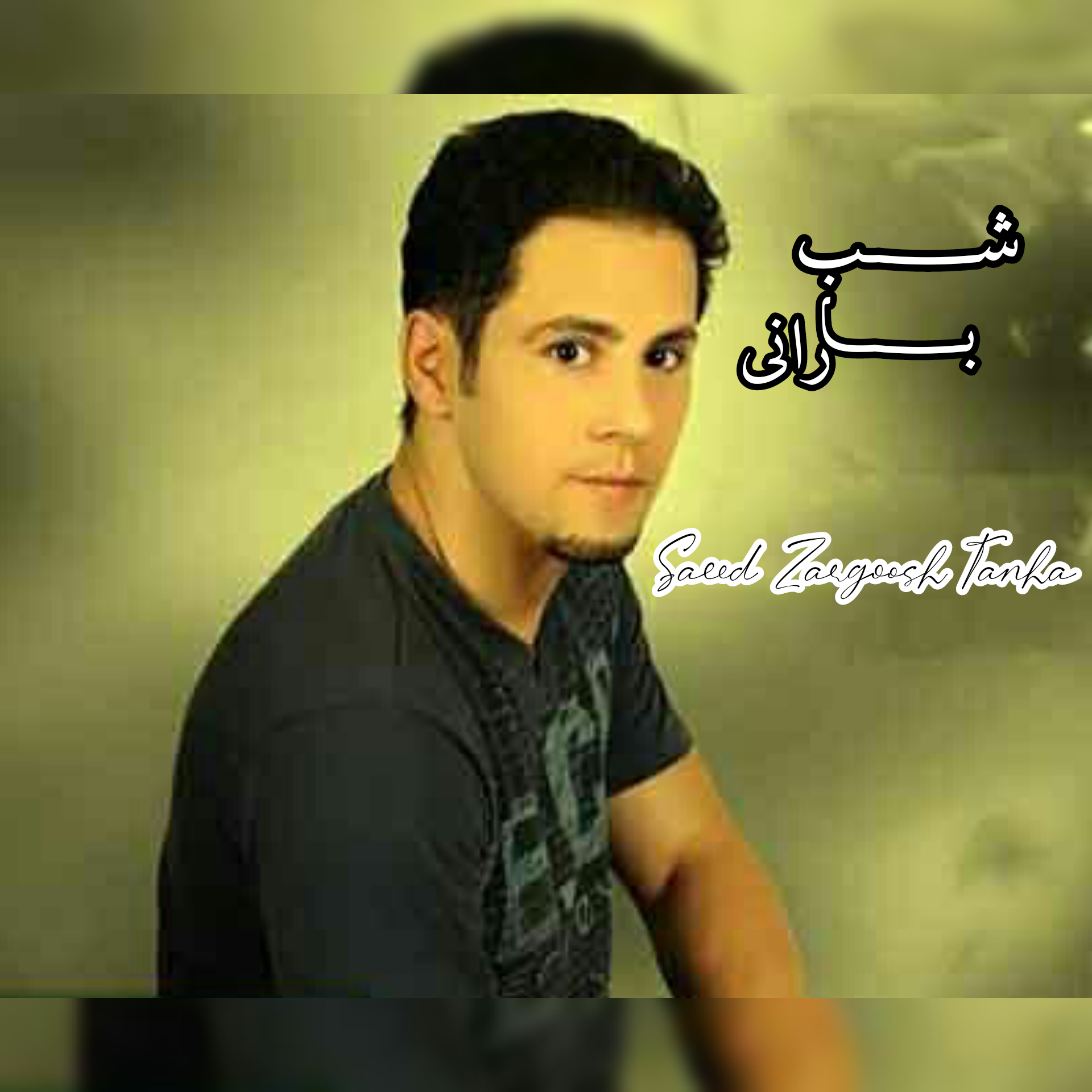 سعید زرگوش تنها شب بارانی